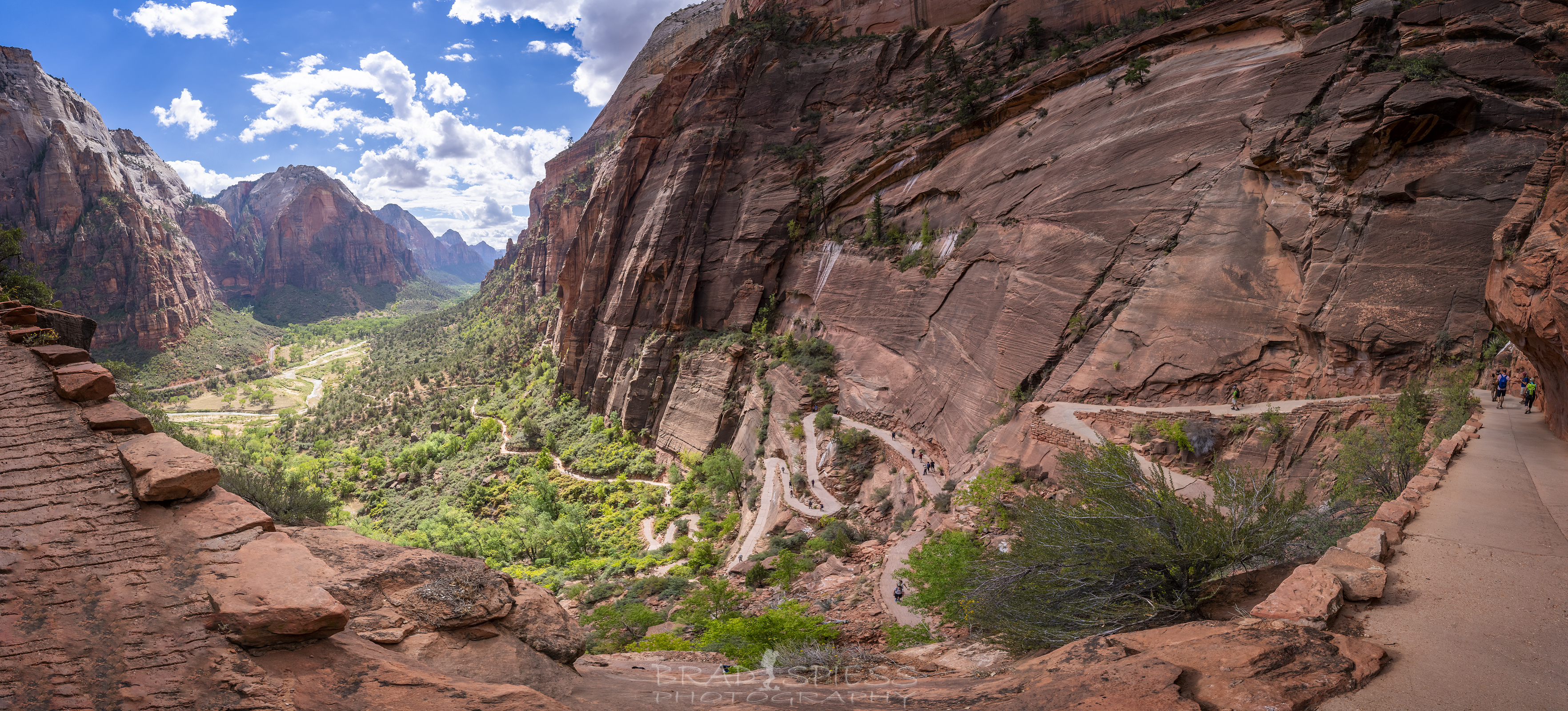 The winding trail leading up towards Angels Landing in Zion National Park