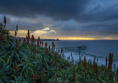 Sunset in La Jolla with a Christmas Tree of lights at the end of Scripps Pier.