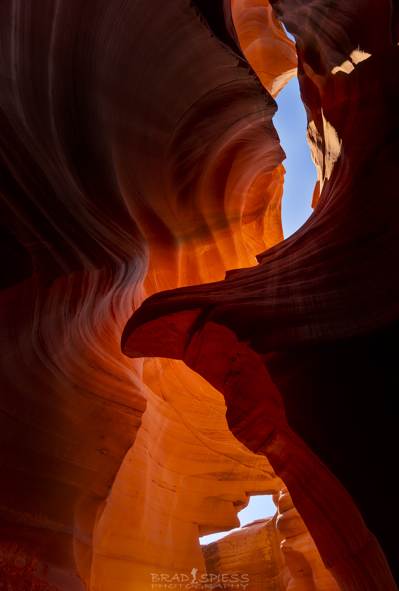 Lions Head Lower Antelope Canyon