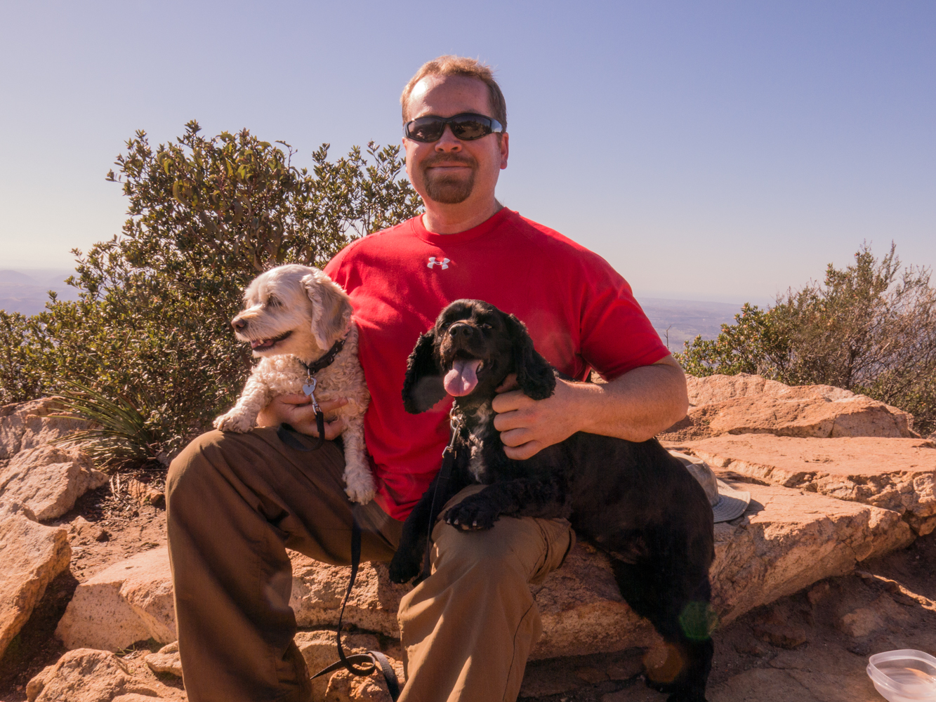 My furry kids and I on top of Iron Mountain