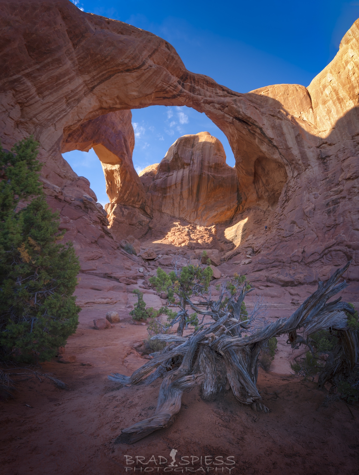 Double Arch at sunset in a portrait composition