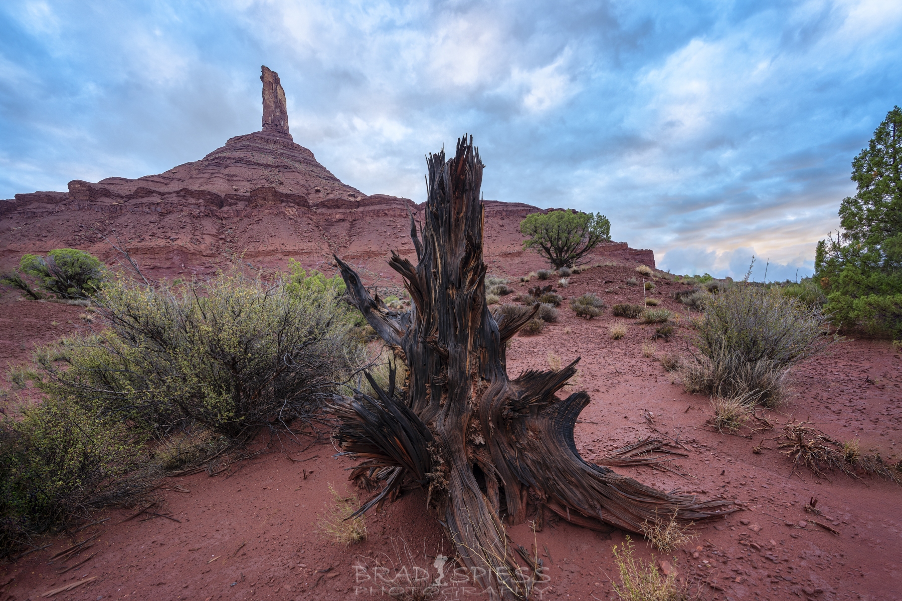 The morning light putting on a show with the clouds near Castleton Tower in Moab, Utah.