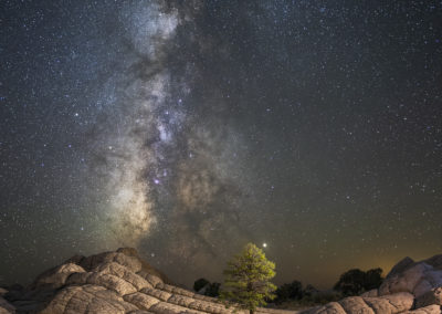 The Milky Way rising up behind the well light lone tree and landscape at White Pocket.