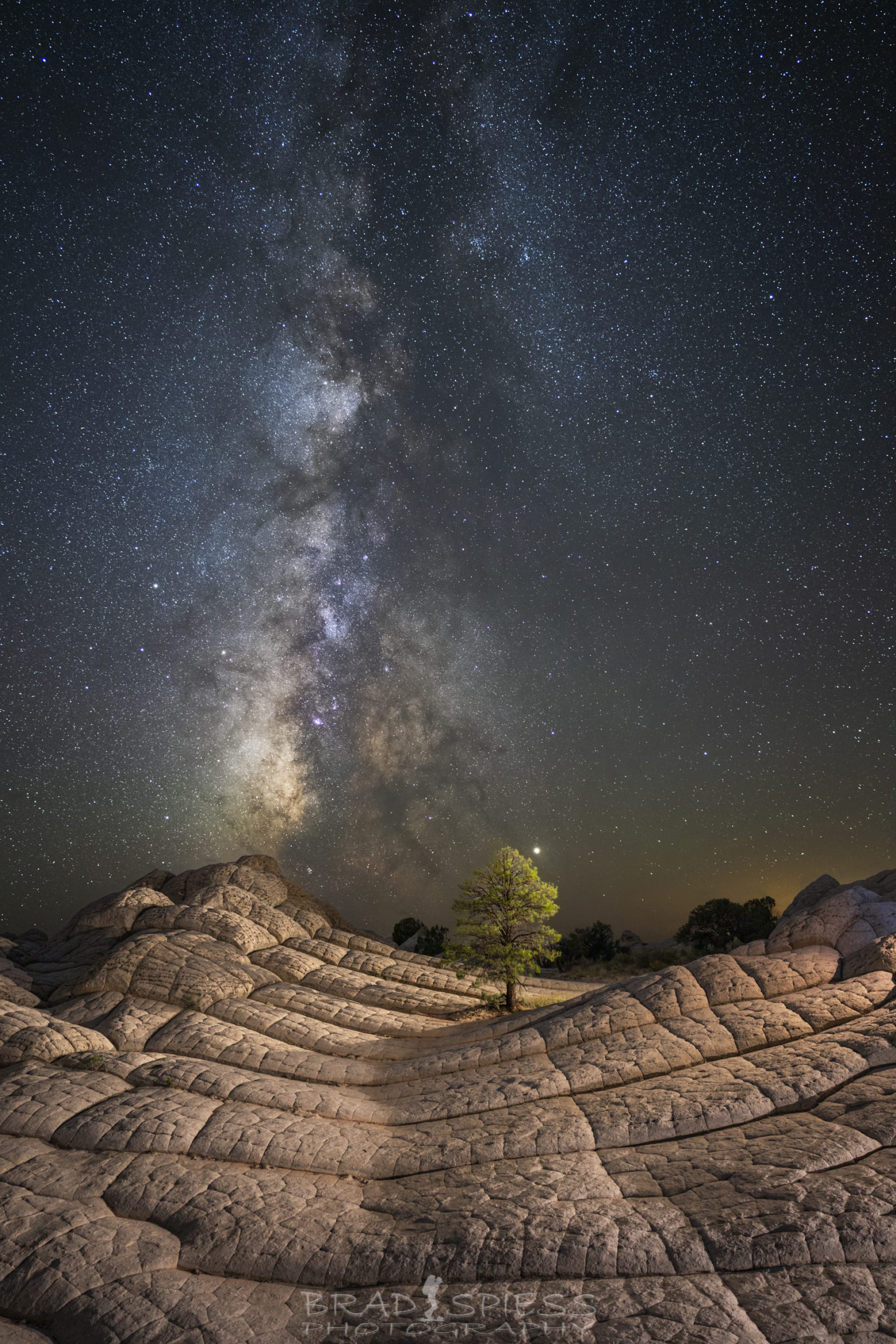 The Milky Way rising up behind the well light lone tree and landscape at White Pocket.
