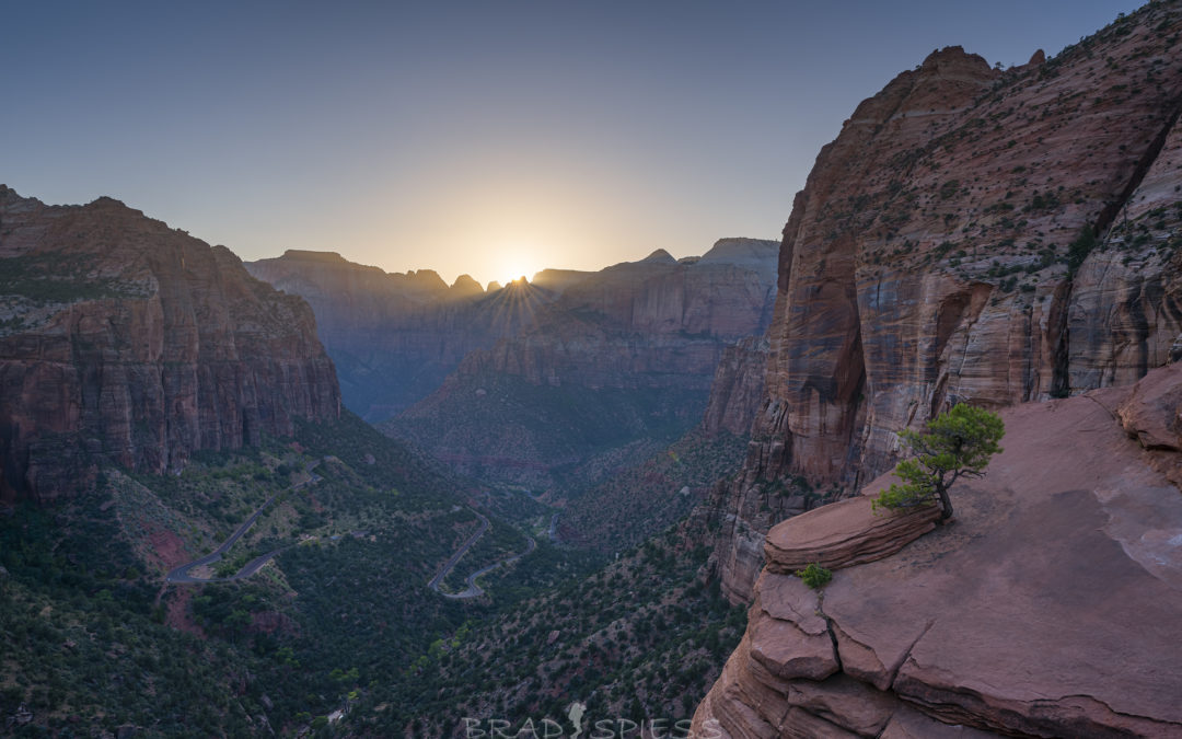 My White Pocket Trip : First Stop Zion National Park